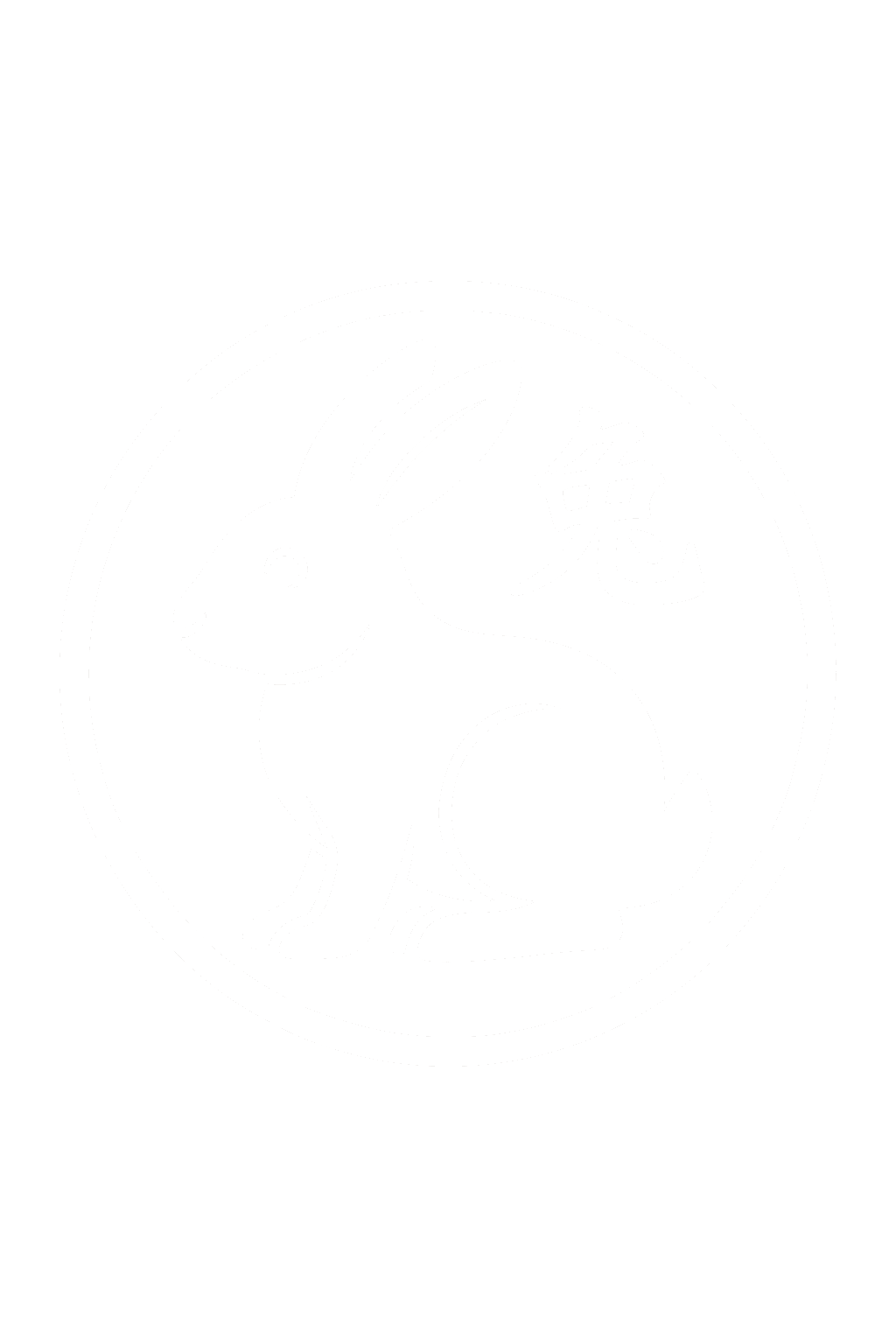 https://www.cartazodiacal.com/wp-content/uploads/2025/08/conejo.png